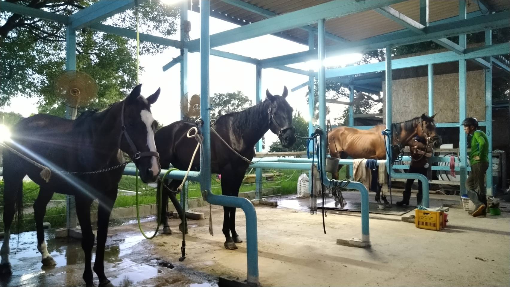 セントレアホースのサブ画像