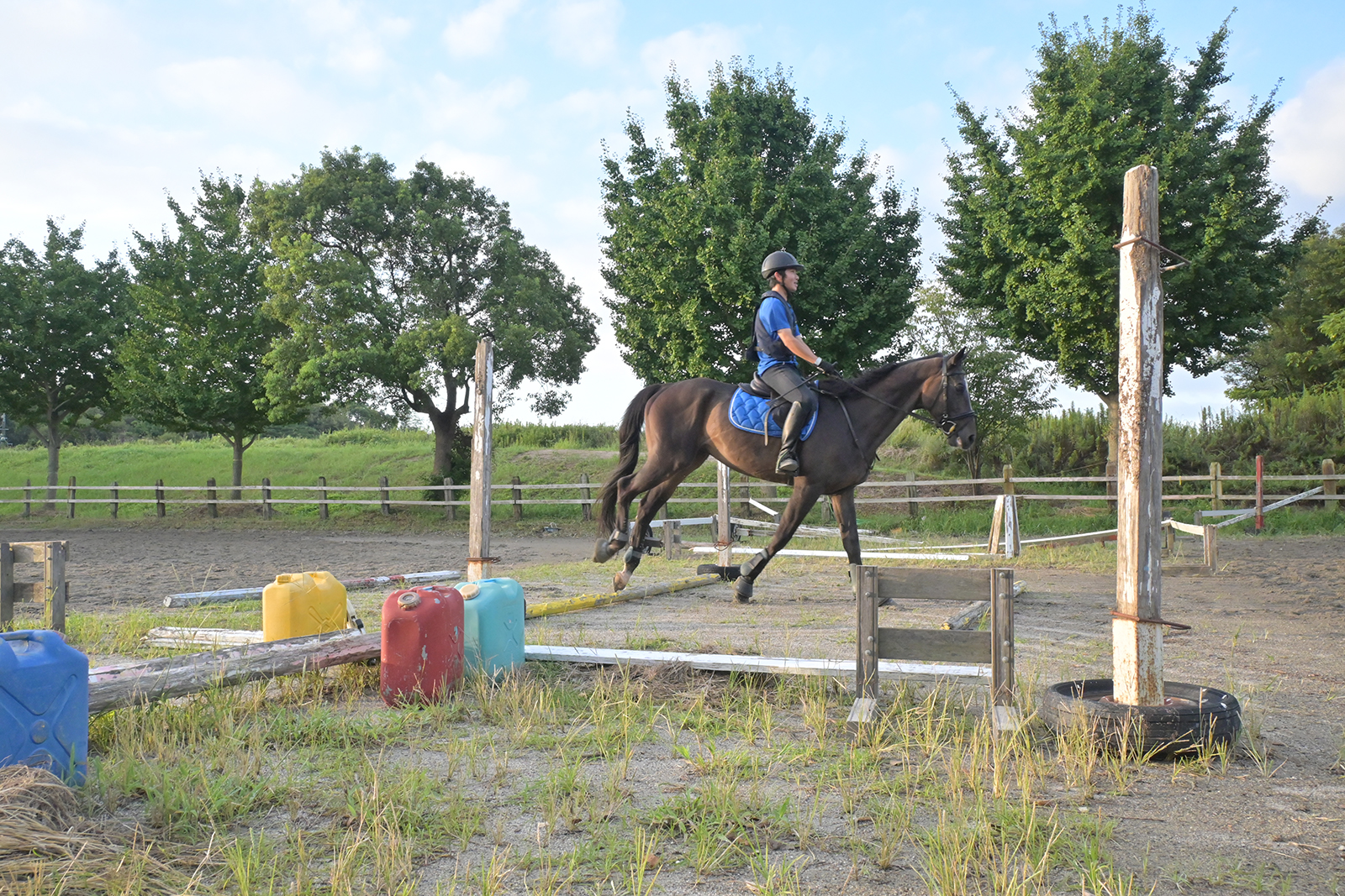 名城大学馬術部のサブ画像