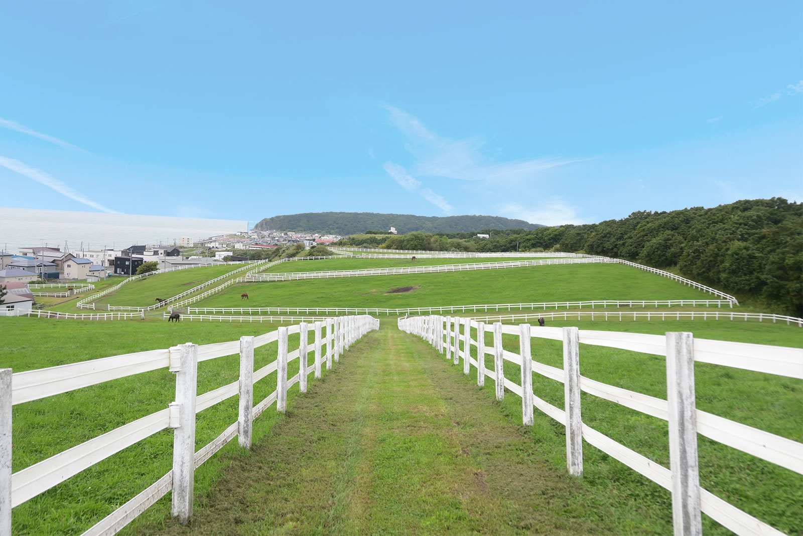白馬牧場（種牡馬けい養施設）の画像
