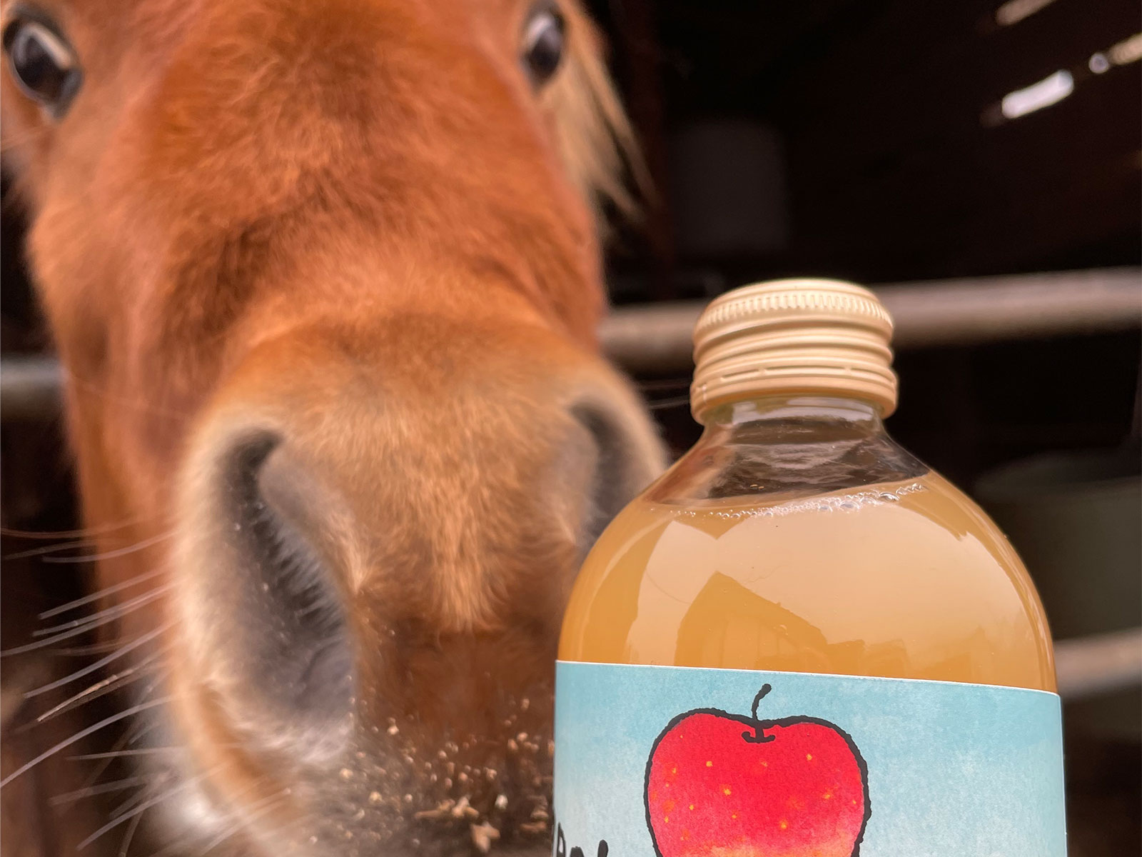 合同会社 馬との画像