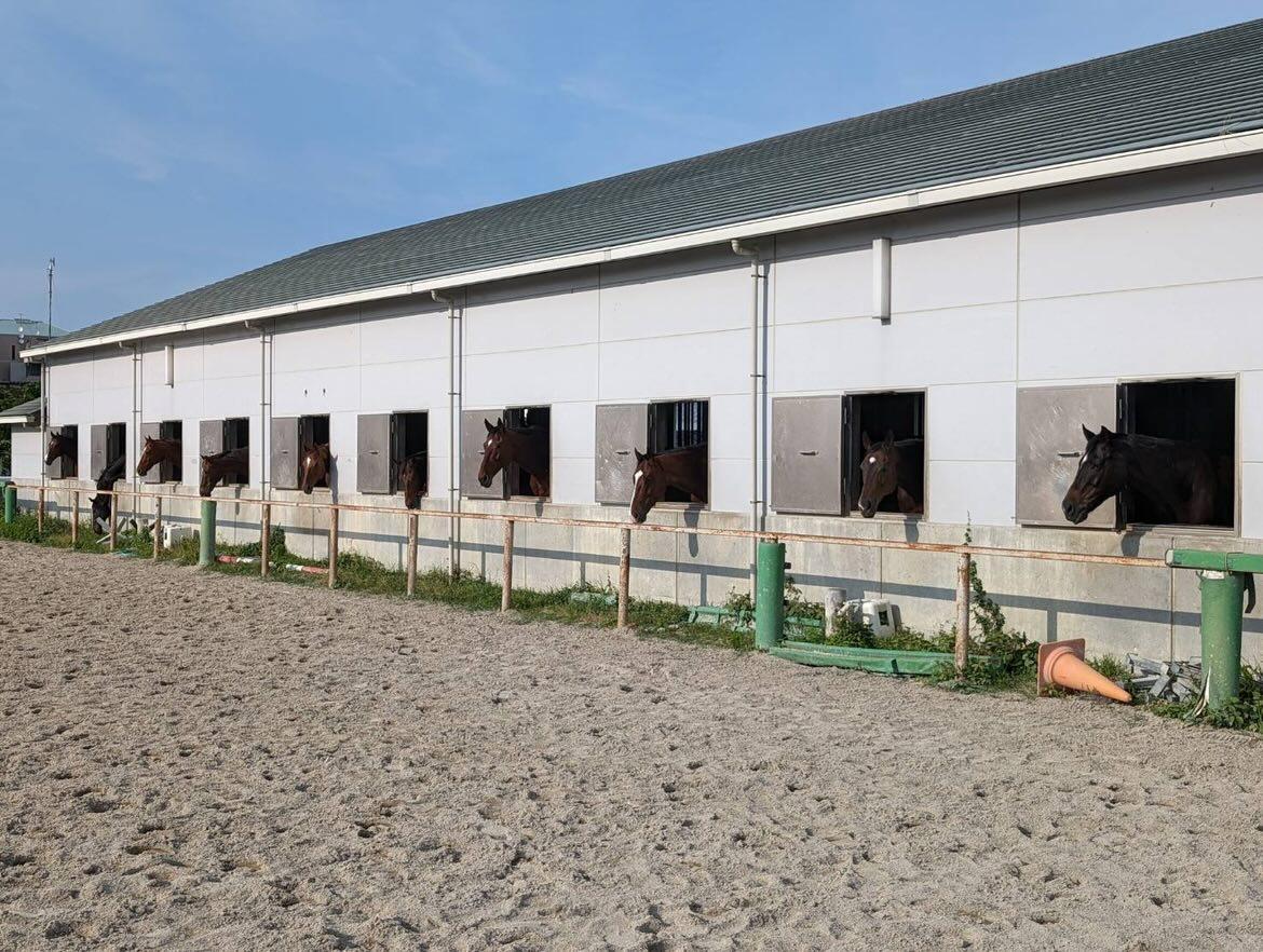 京都大学の画像