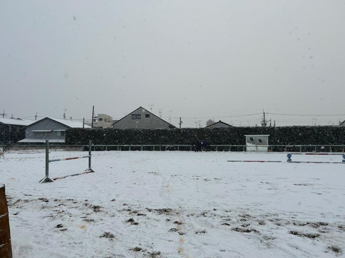 京都大学のサブ画像