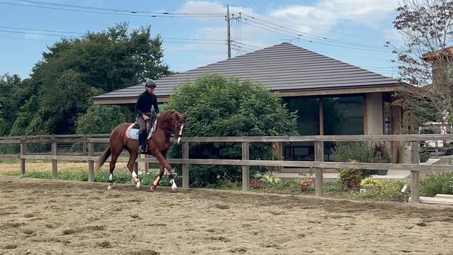美浦ホースクラブの画像