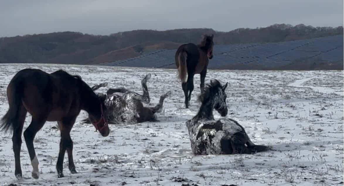 リョーケンファーム㈱のサブ画像