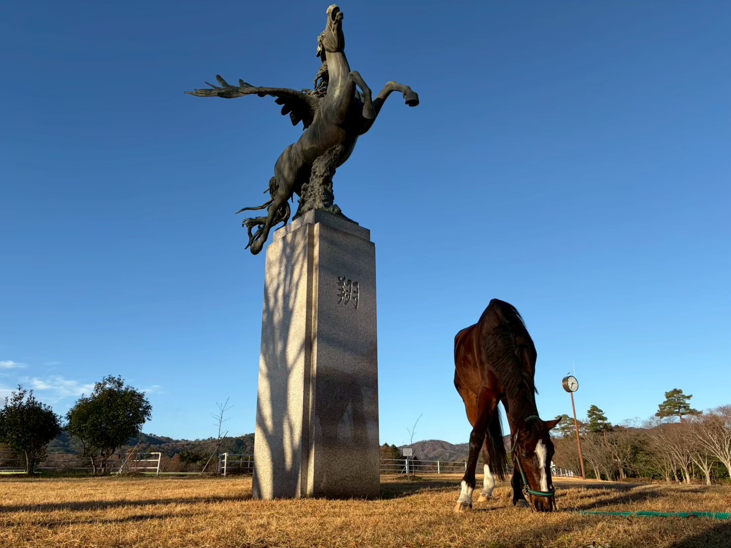 新潟大学 馬術部のサブ画像