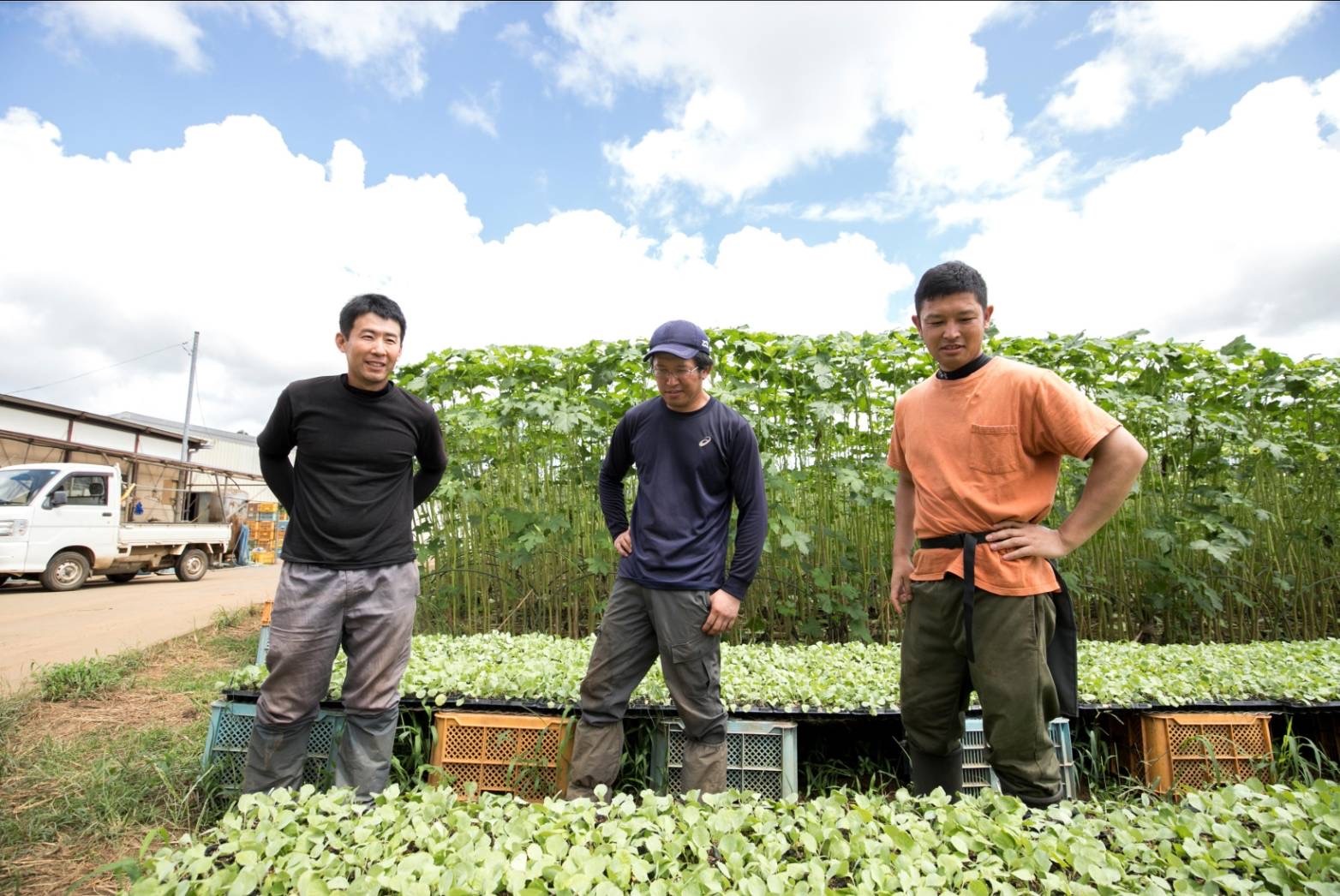 有限会社ゆうふぁーむのメイン画像