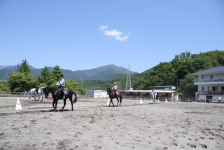 秦野国際乗馬クラブのサブ画像