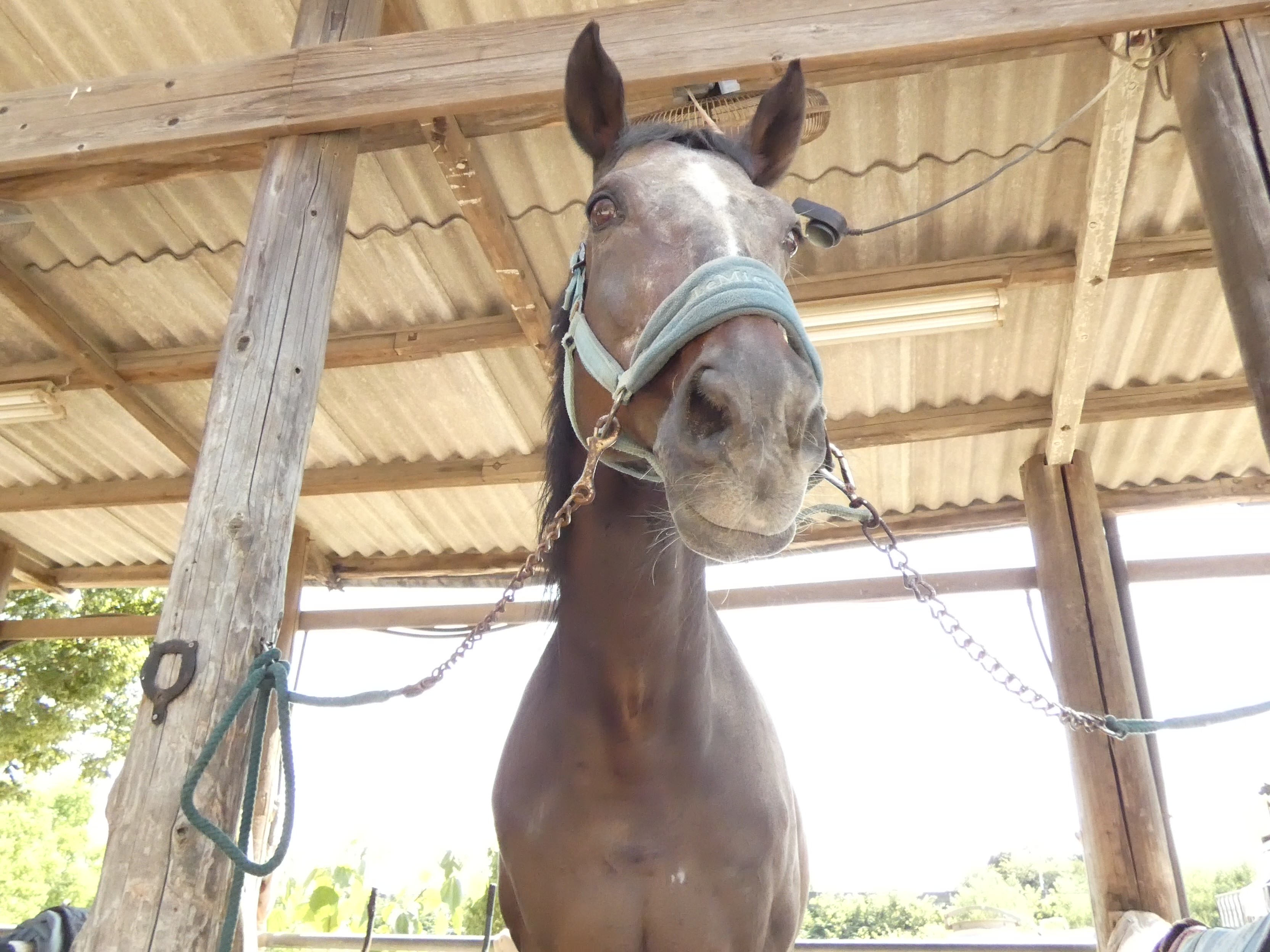 ブンダバールのサブ画像