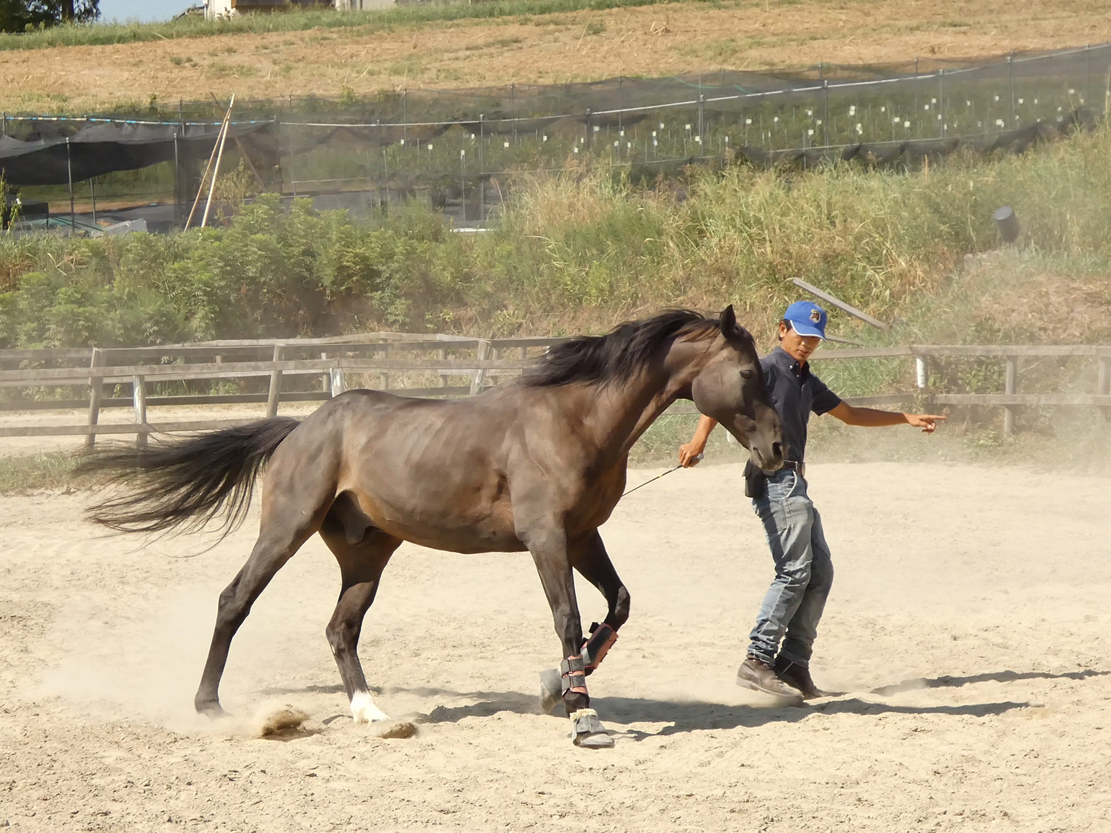 ライザンのサブ画像