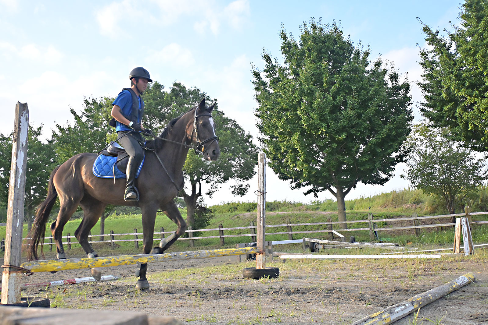 テーオーゼウスのサブ画像