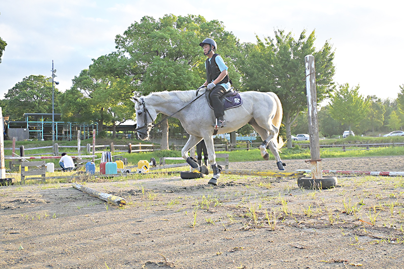 ウインプレミアムのサブ画像