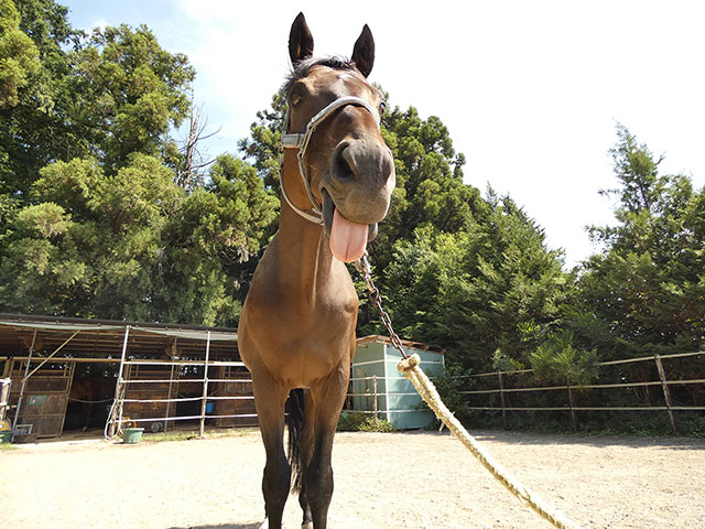 エイムアンドエンド