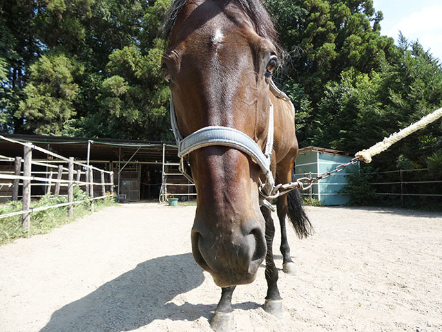 エイムアンドエンドのサブ画像