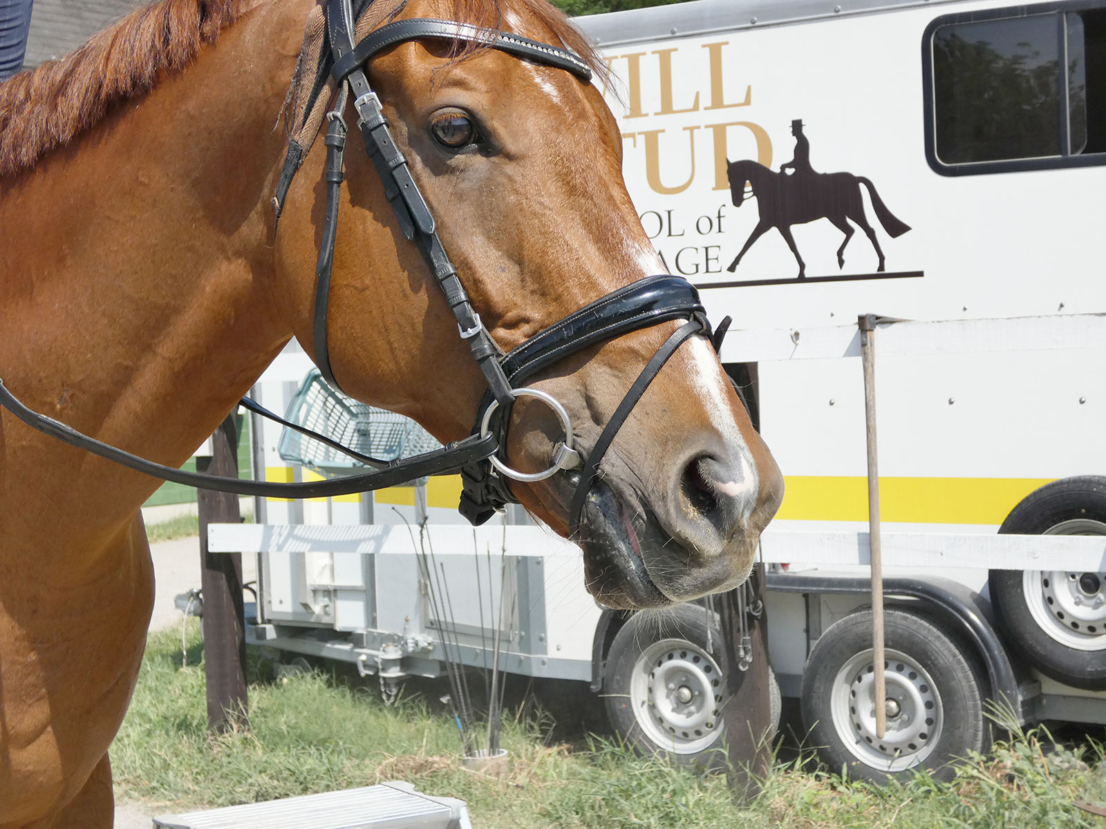 サンライズモストロのサブ画像