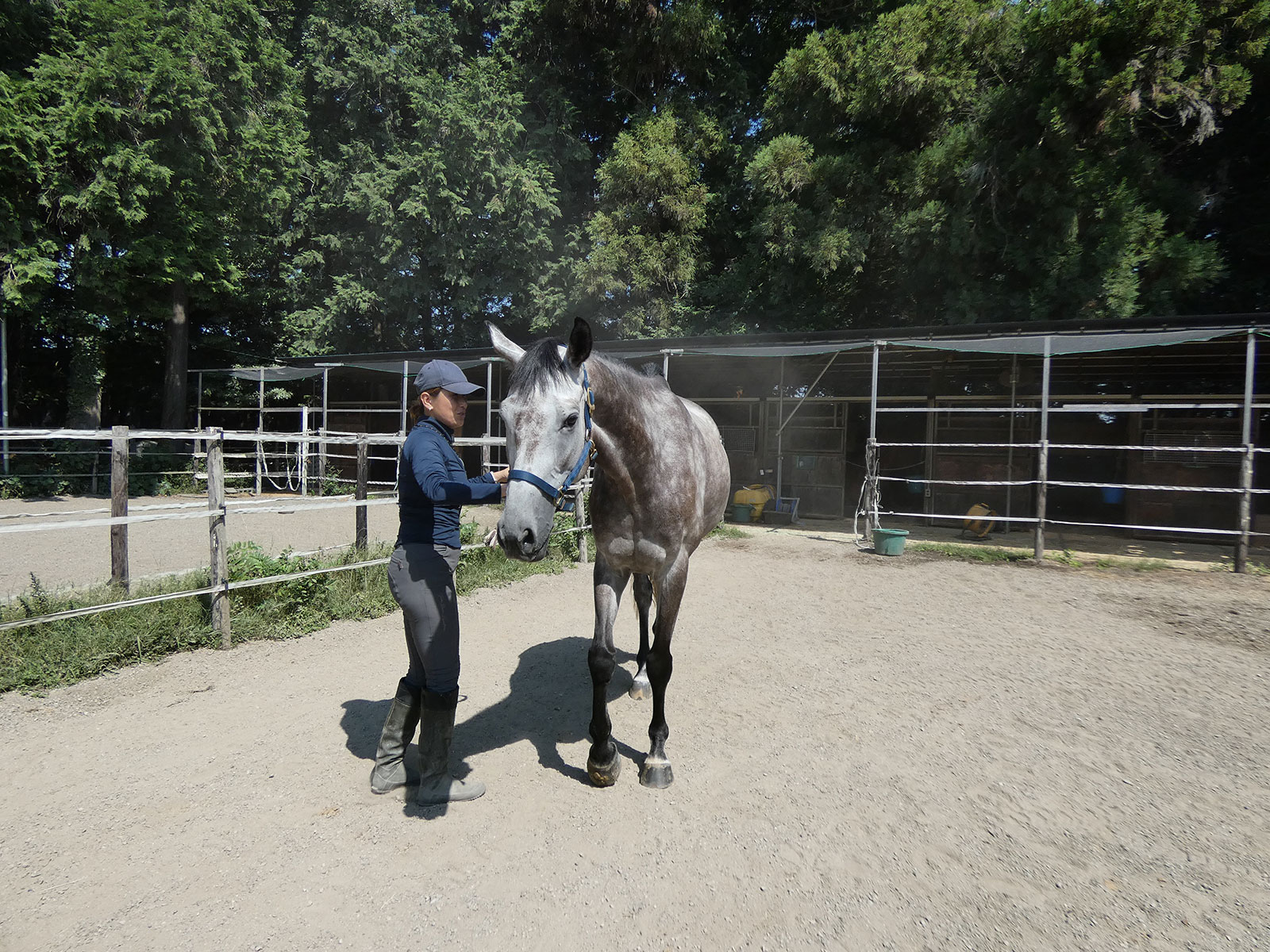 ヒロノグレイのサブ画像