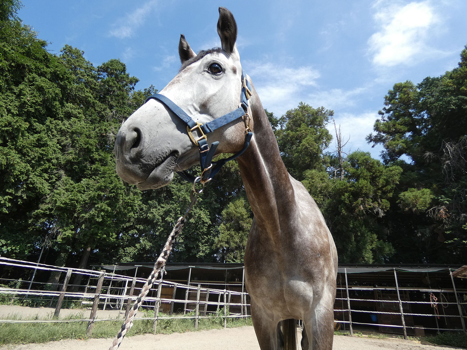 ヒロノグレイのサブ画像