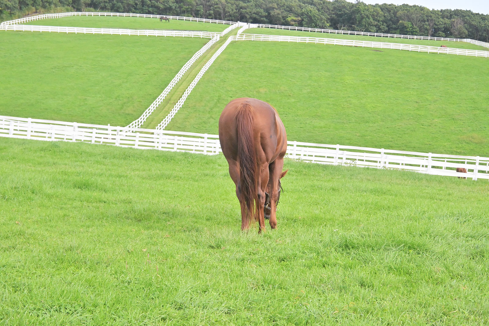 ダノングッドのサブ画像