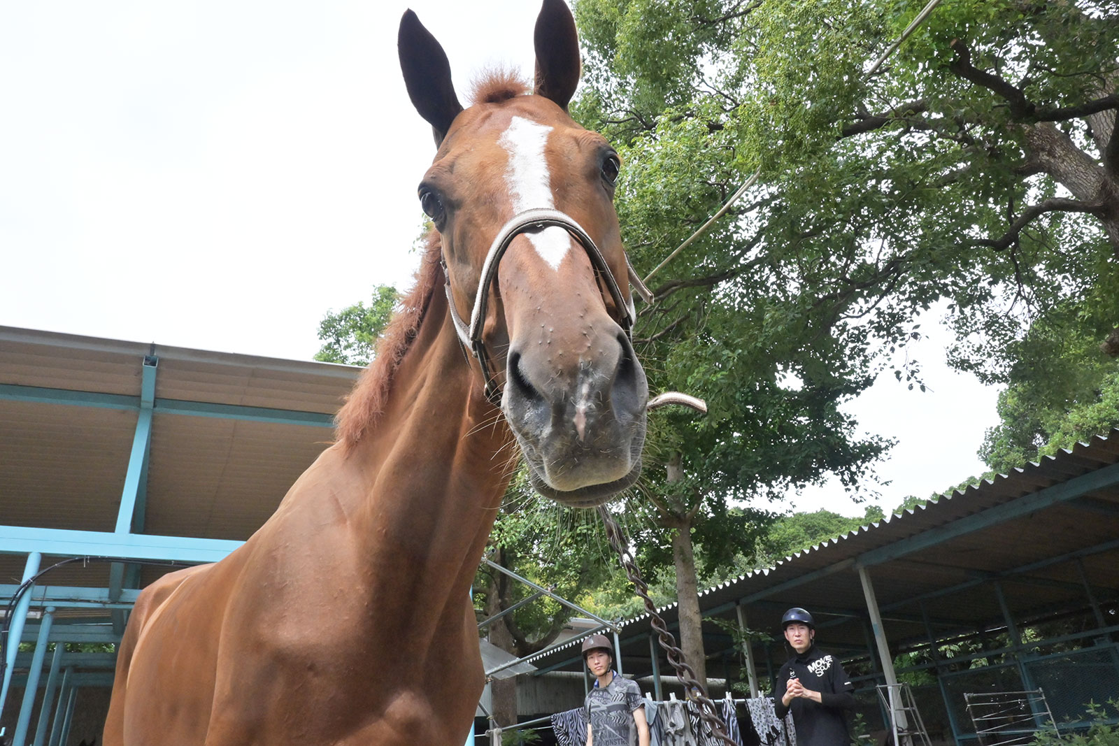 ゼットスマイルのサブ画像