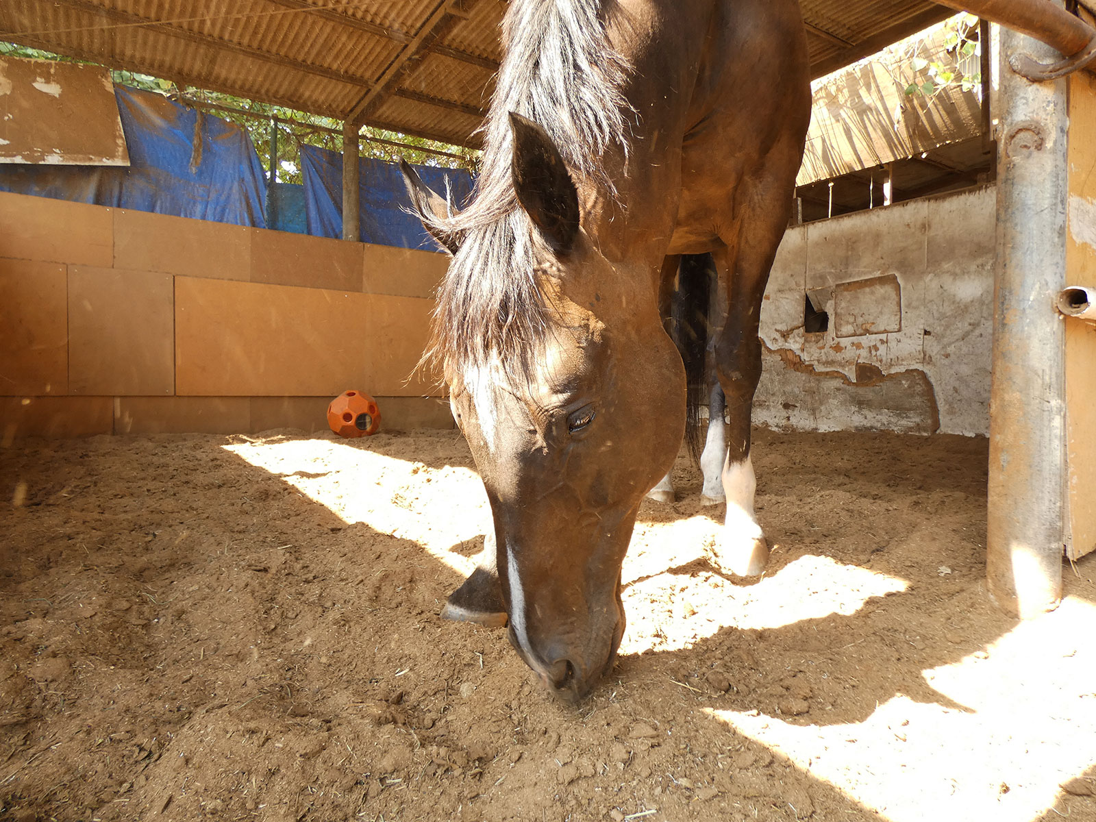 シティウォーク