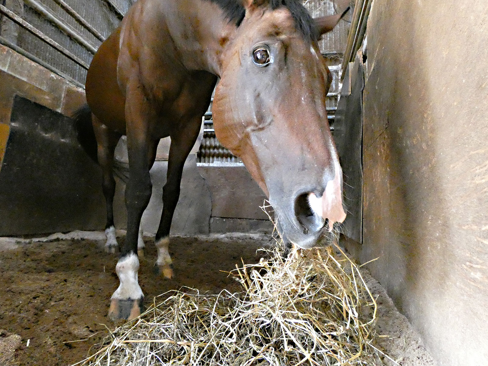 パルフェクレール