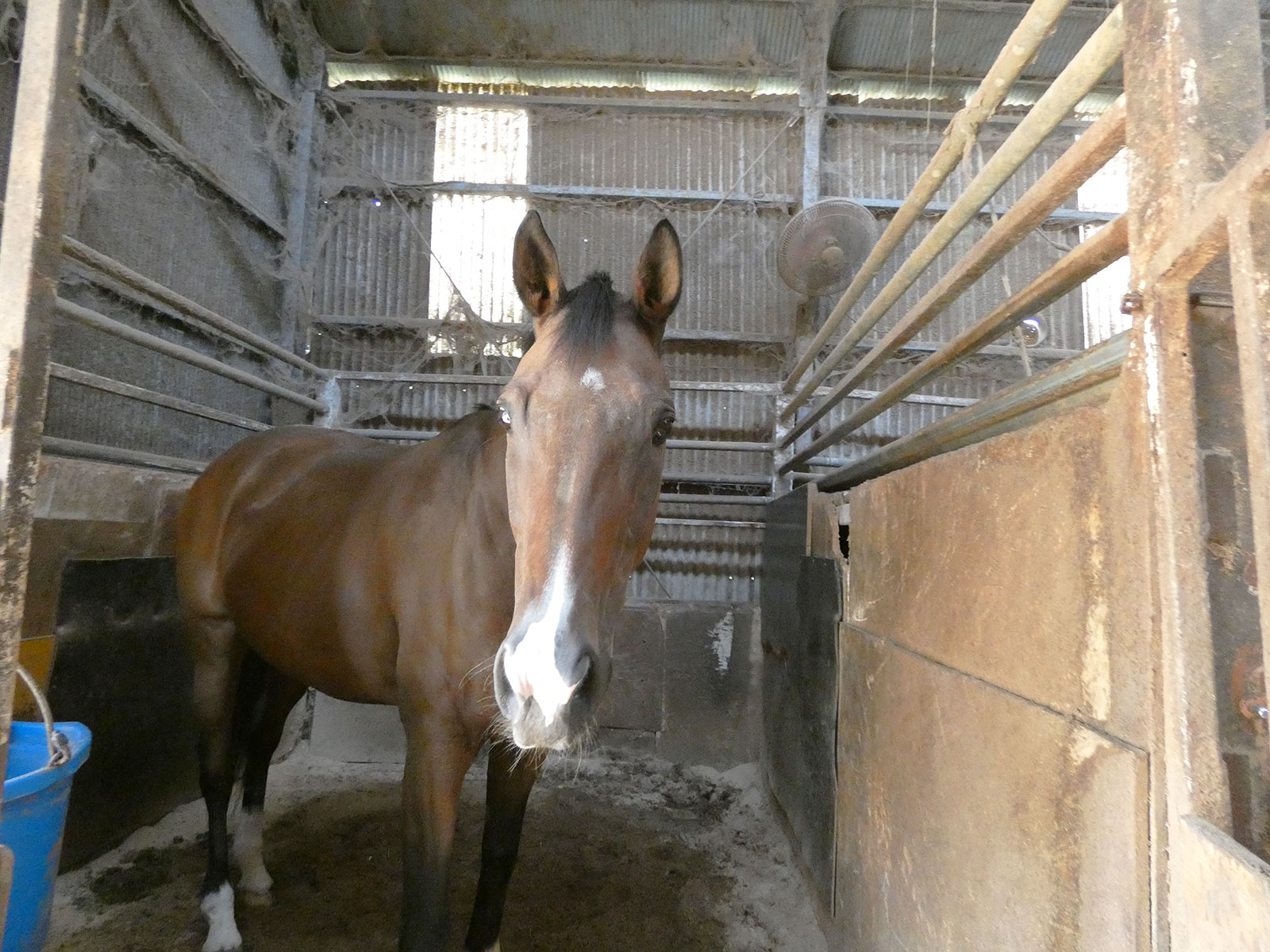 パルフェクレールのサブ画像