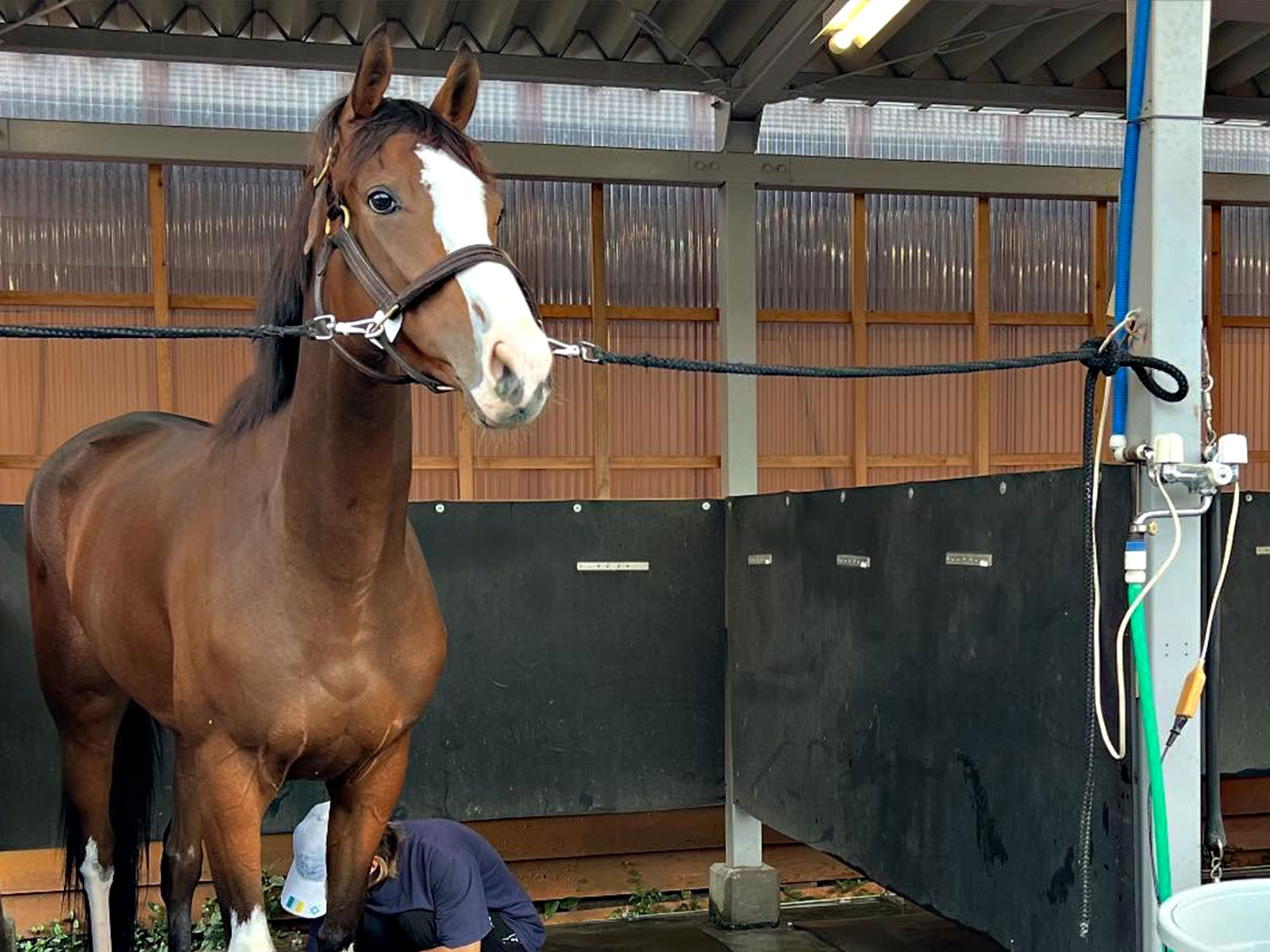 セレニティのサブ画像