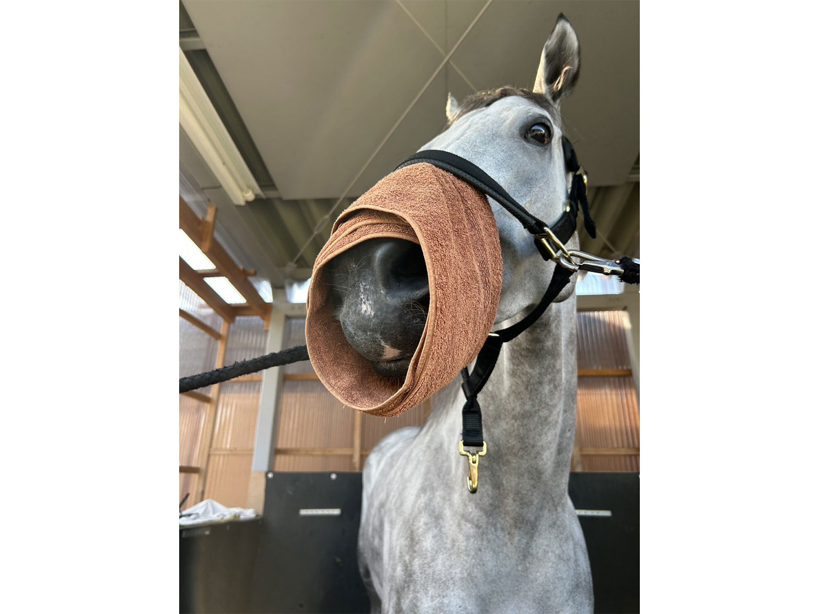 ヴェルデヴェントの画像