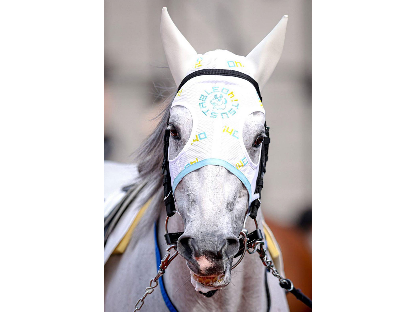 ブルーグリッターの画像