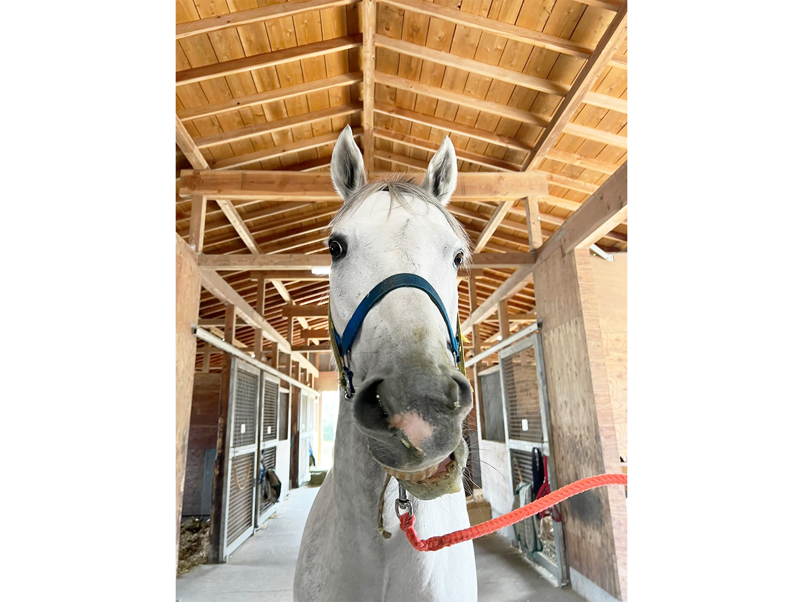 ブルーグリッターのサブ画像