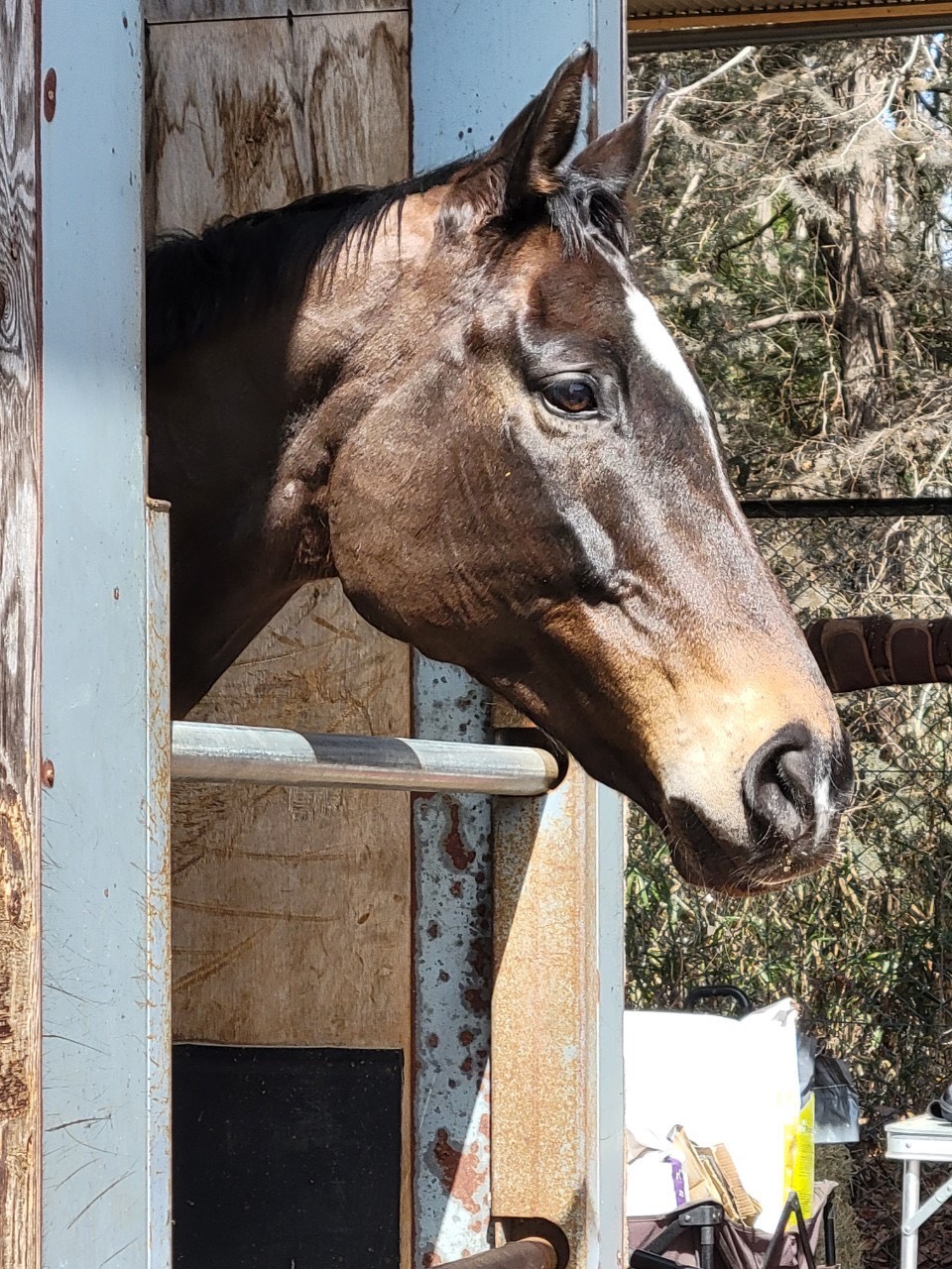 ロングアイドルのサブ画像