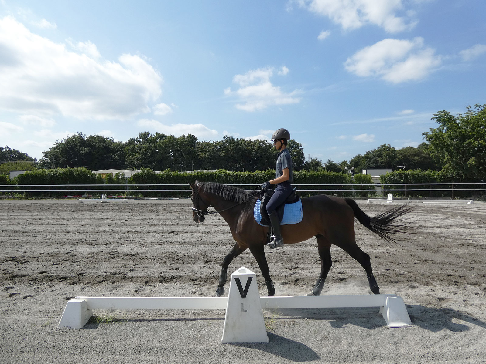 バイキングクラップ