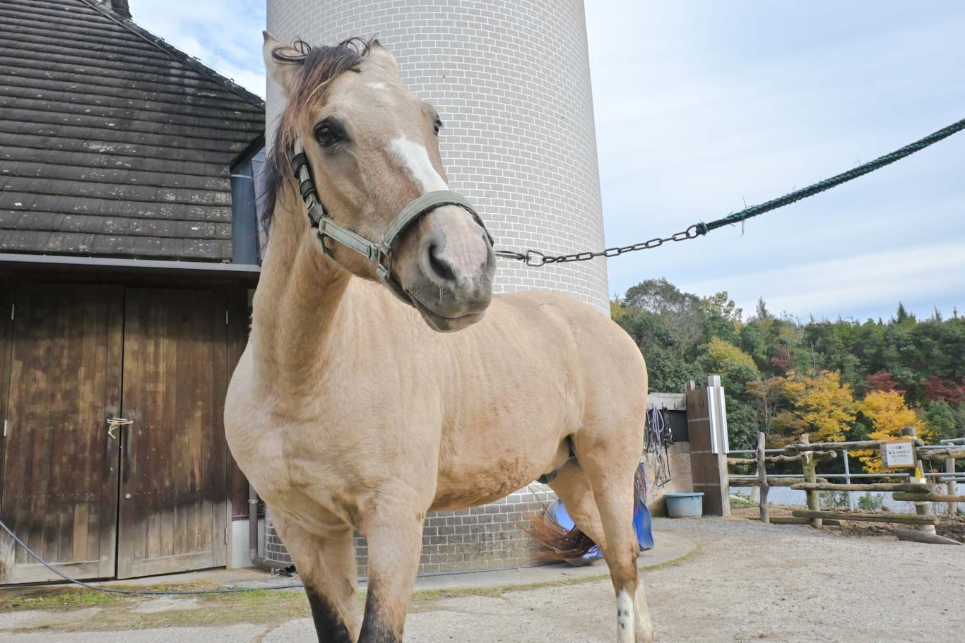 へレスのサブ画像