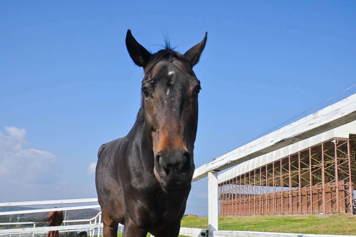 ゲヴュルツのサブ画像