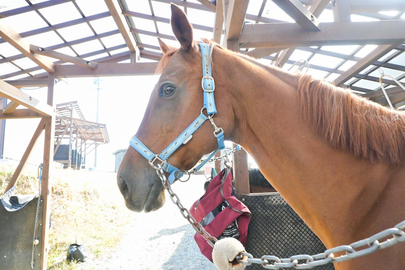 ワンダーアシャードのサブ画像