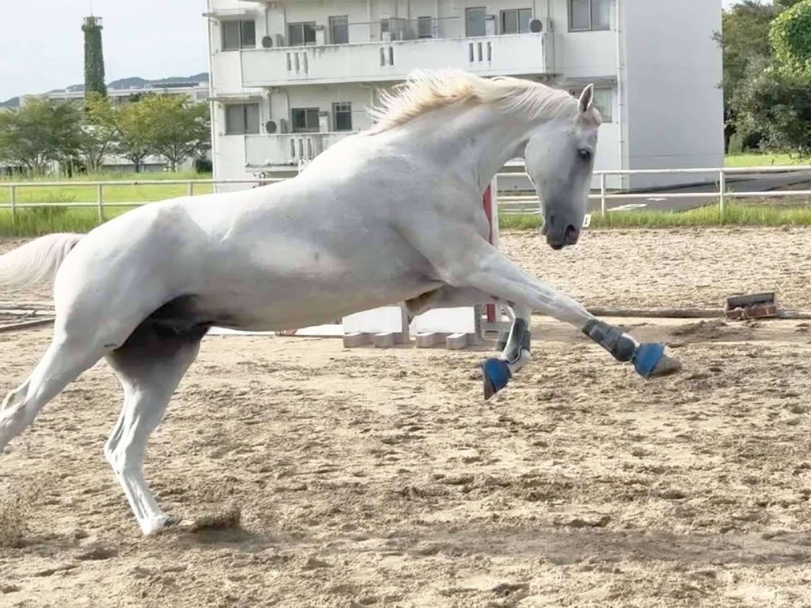 ラック 宮大(luck_miyadai)のサブ画像