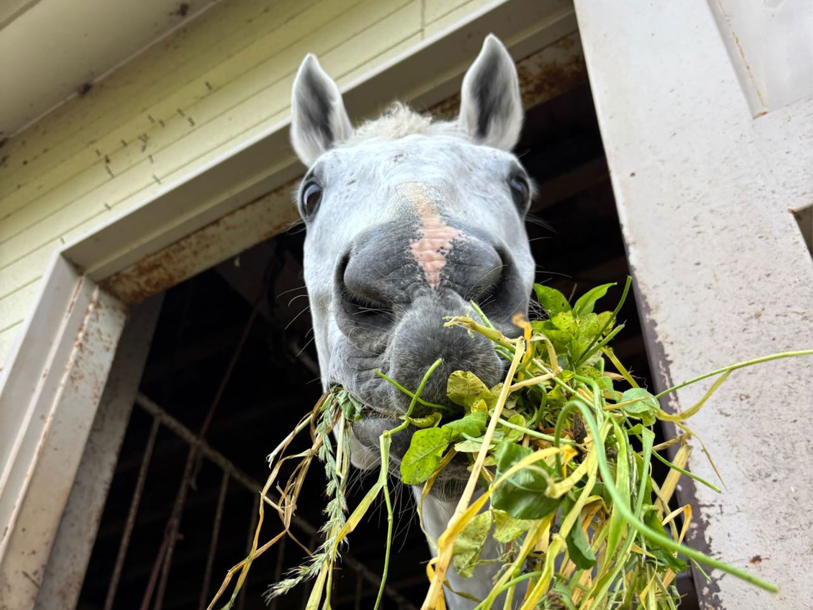 ラック 宮大(luck_miyadai)のサブ画像