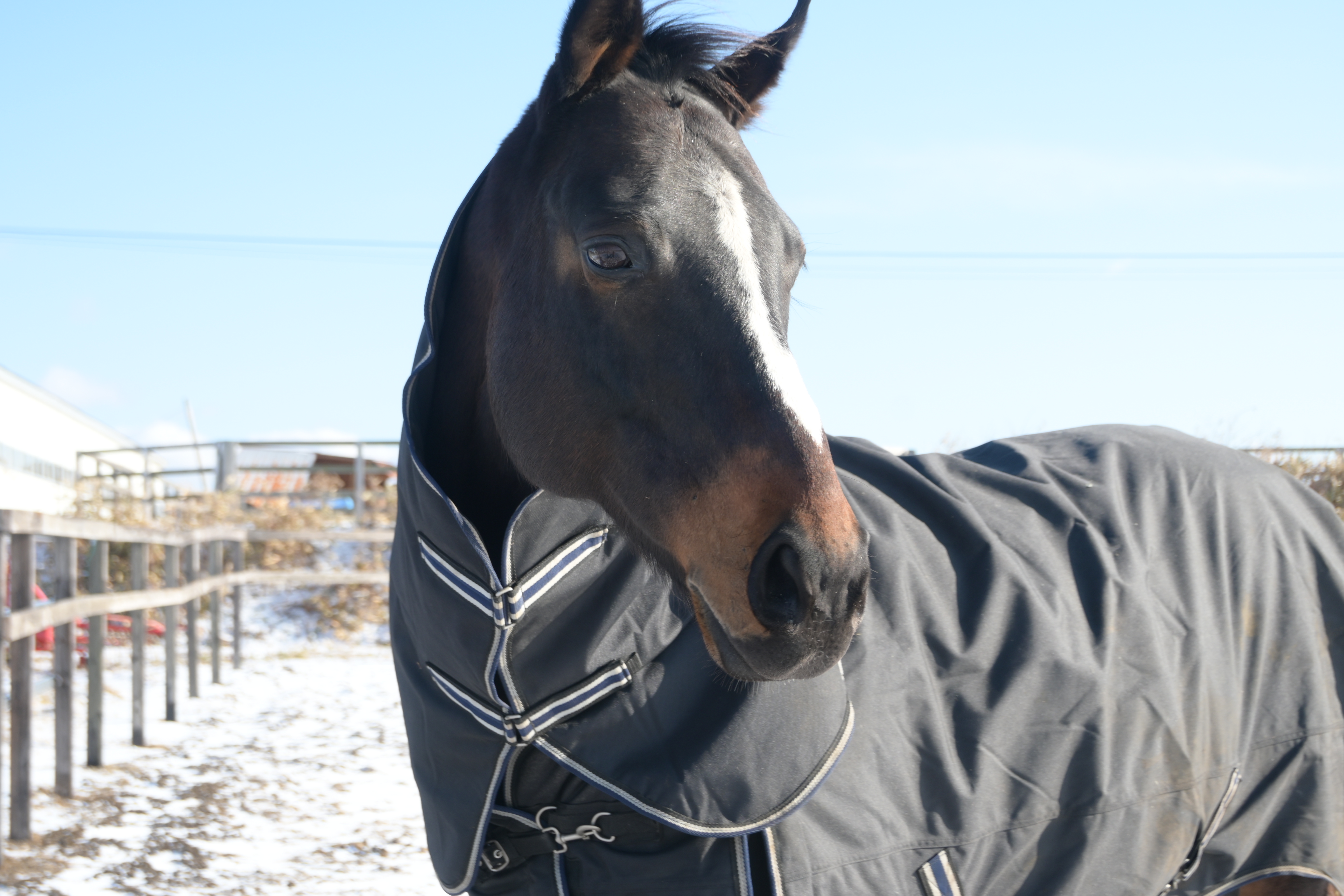 サンアップルトンのサブ画像