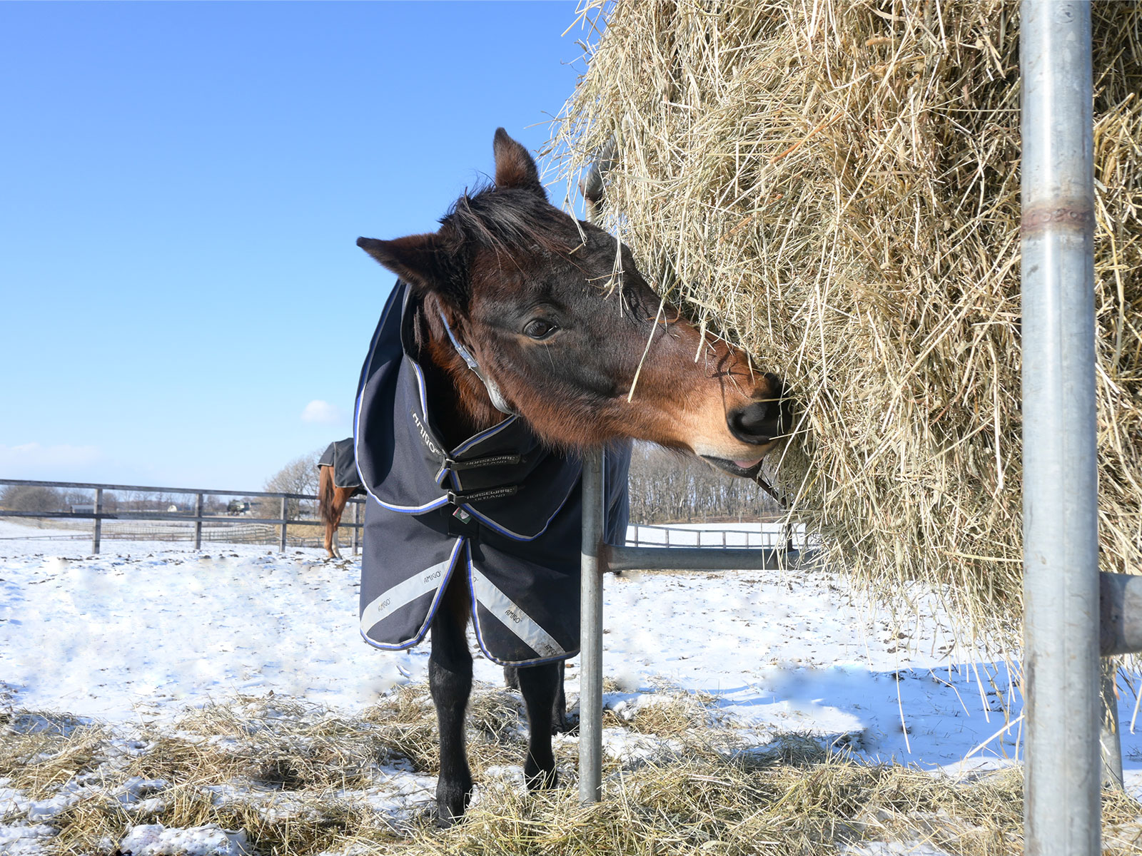 アウトオブタイムのサブ画像