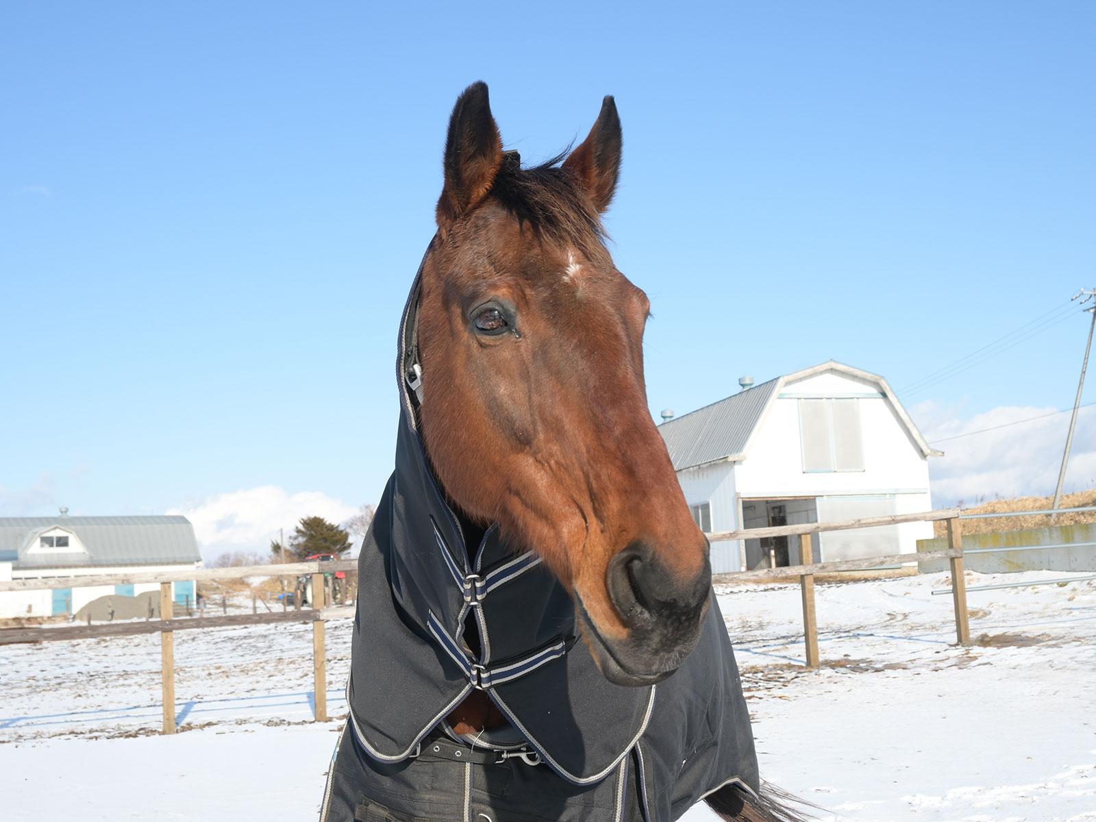 サンツェッペリン