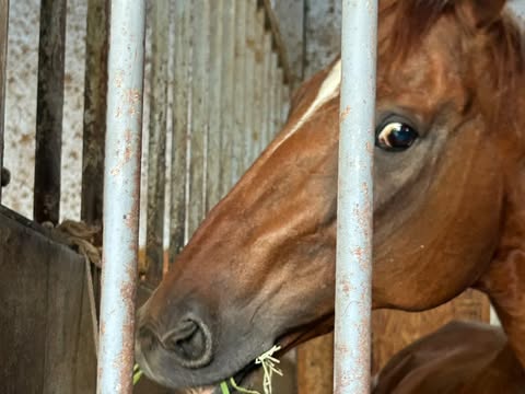 京欅のサブ画像