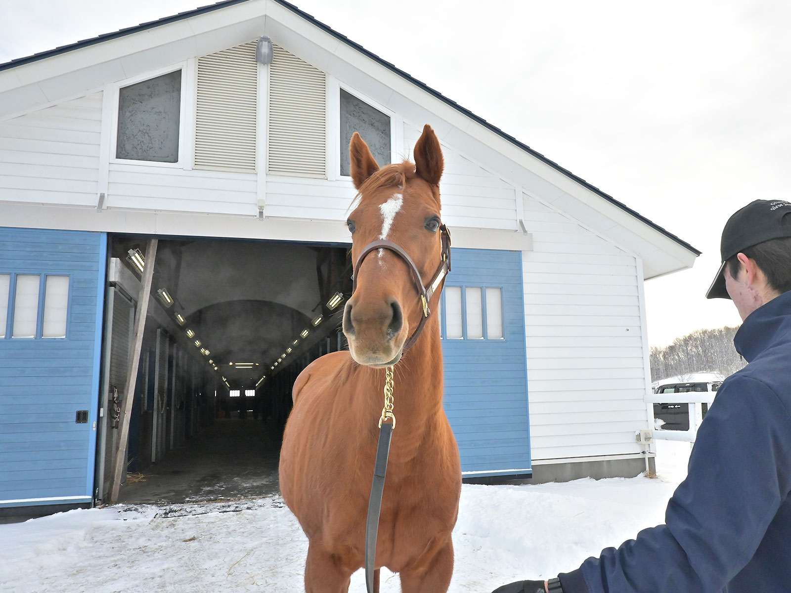 フォーエバーモアの画像