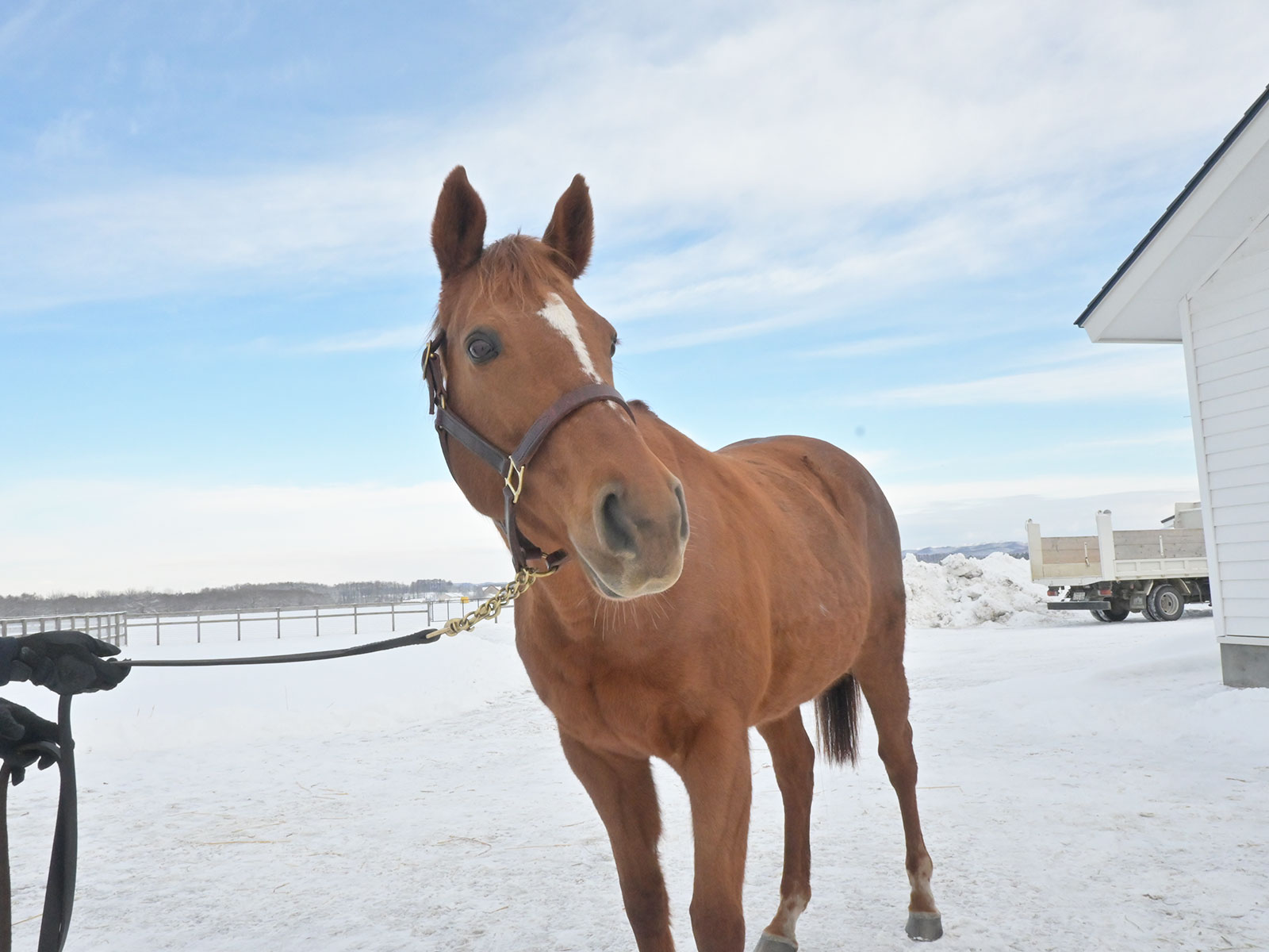 フォーエバーモアのサブ画像