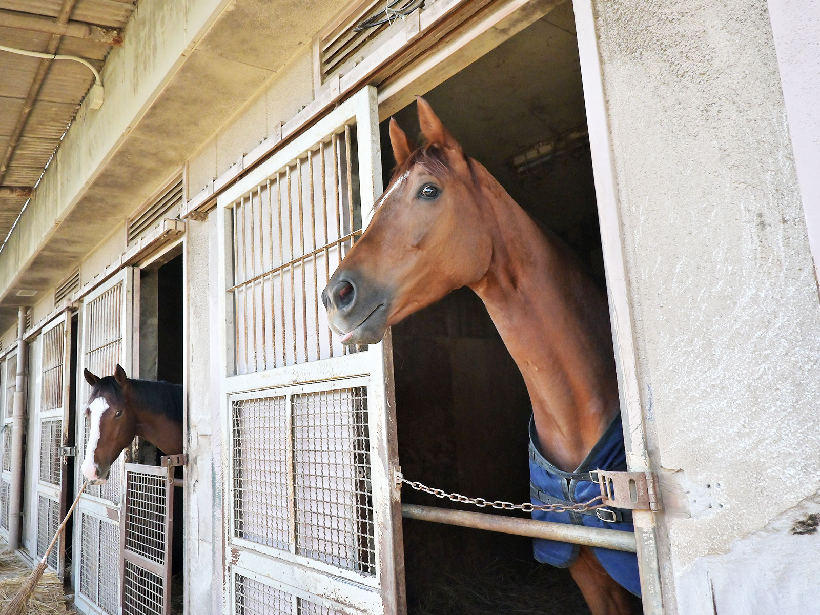 グランテミスのサブ画像