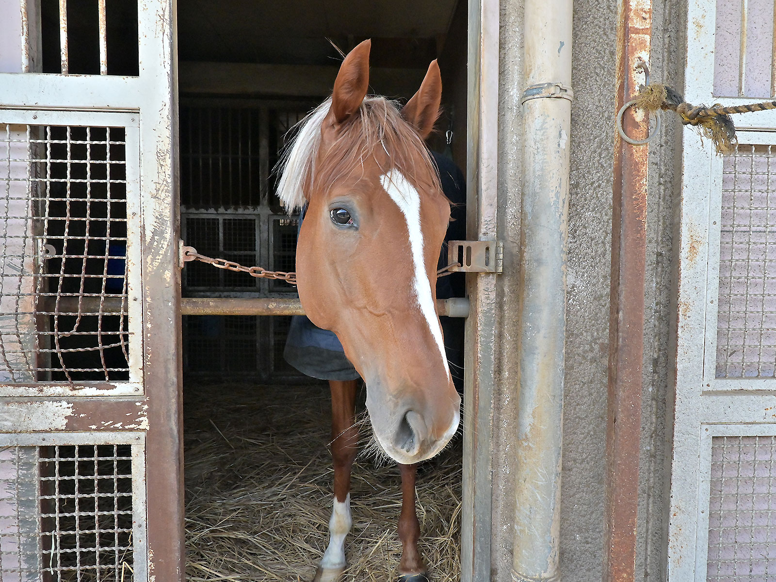 ベラジオソニックのサブ画像