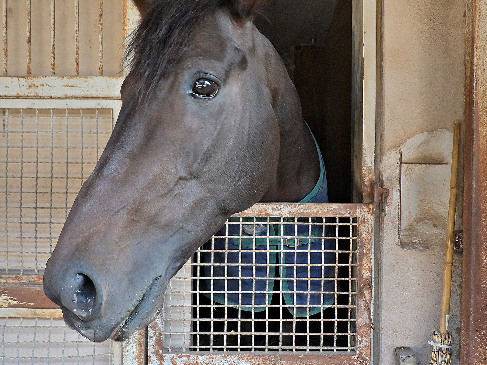 モイスチャーのサブ画像