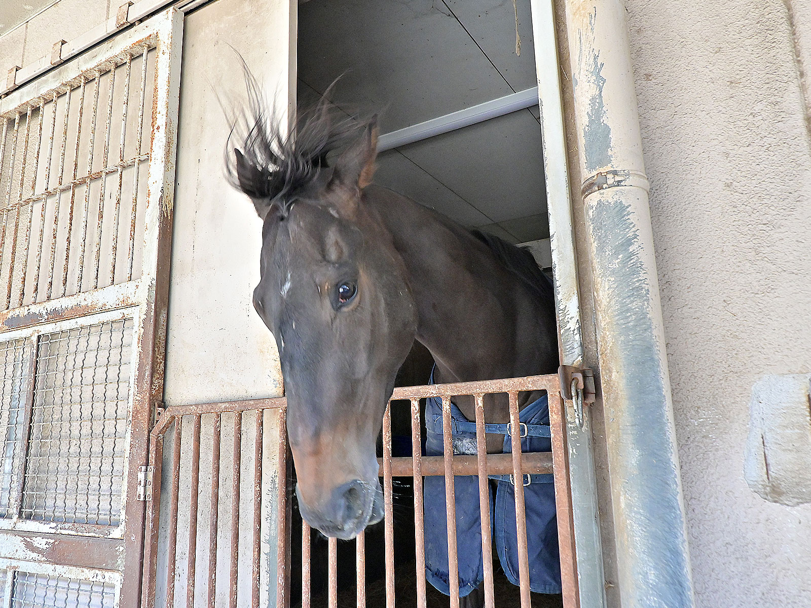 エロイムエッサイムのサブ画像