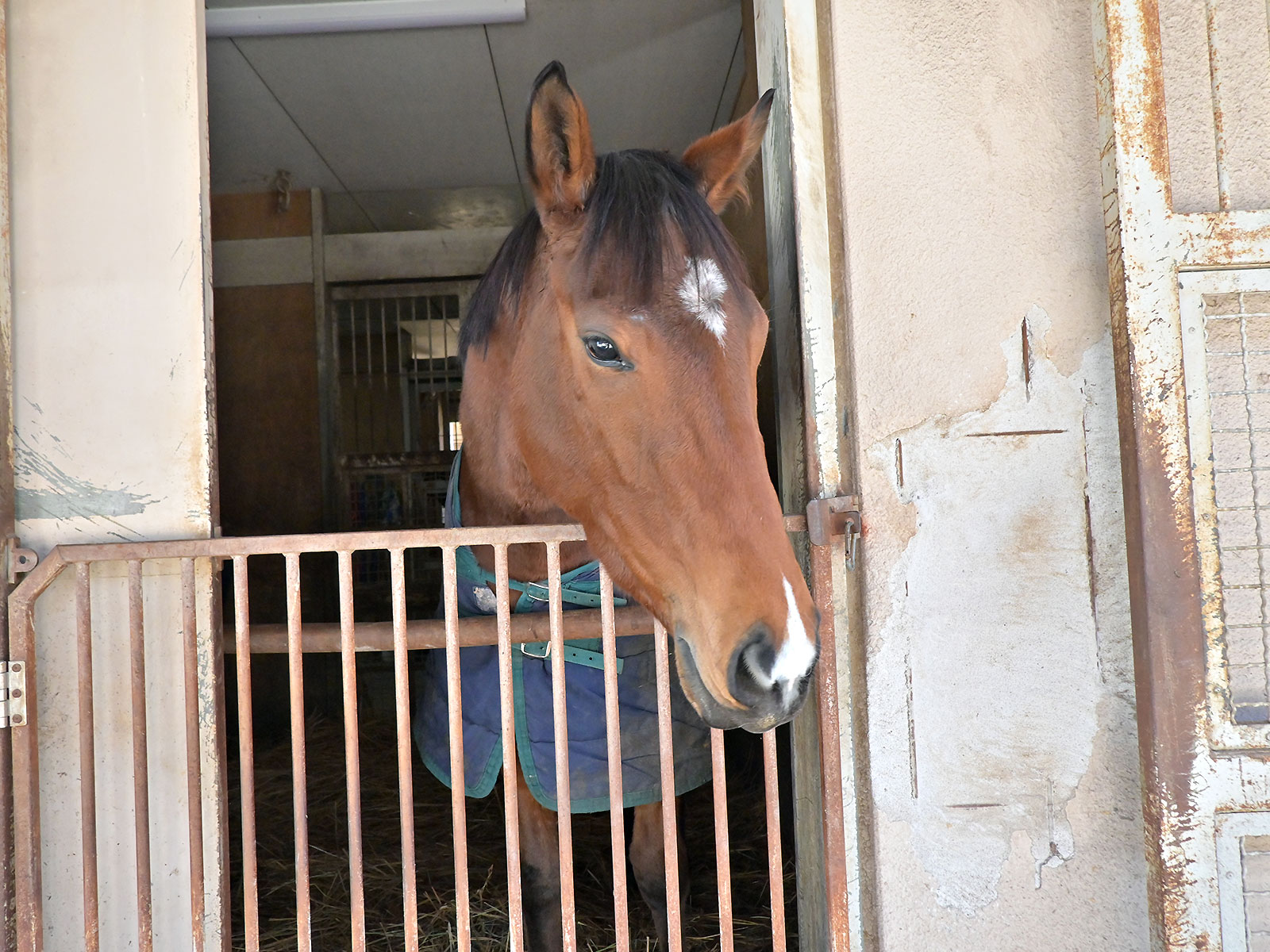 タンタンドルのサブ画像