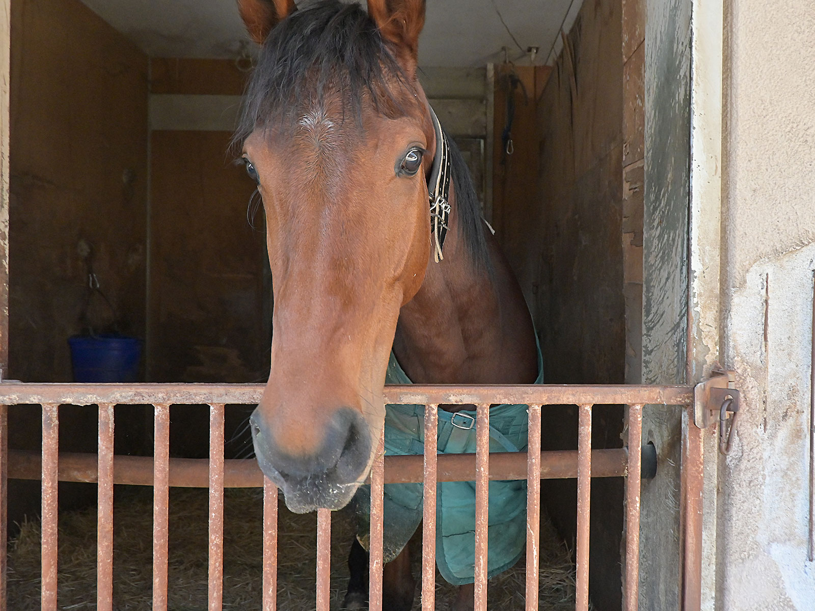 グランロゼのサブ画像