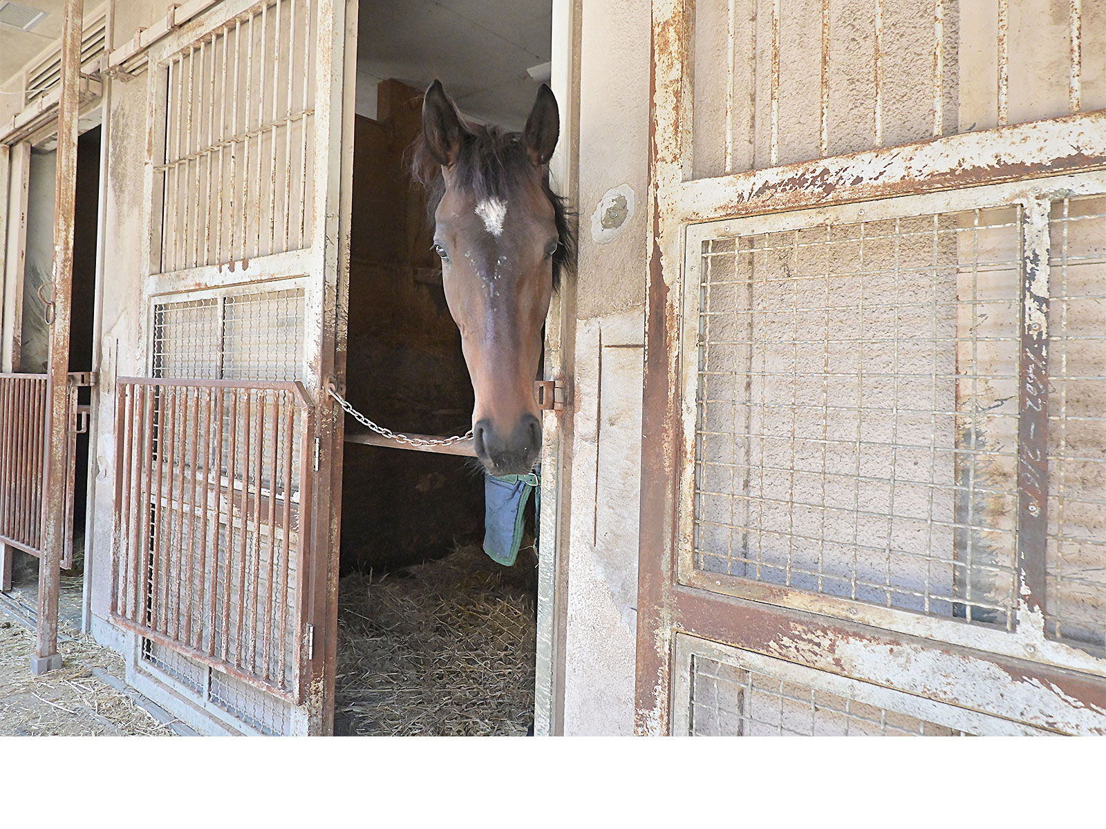 ミュトスオードのサブ画像