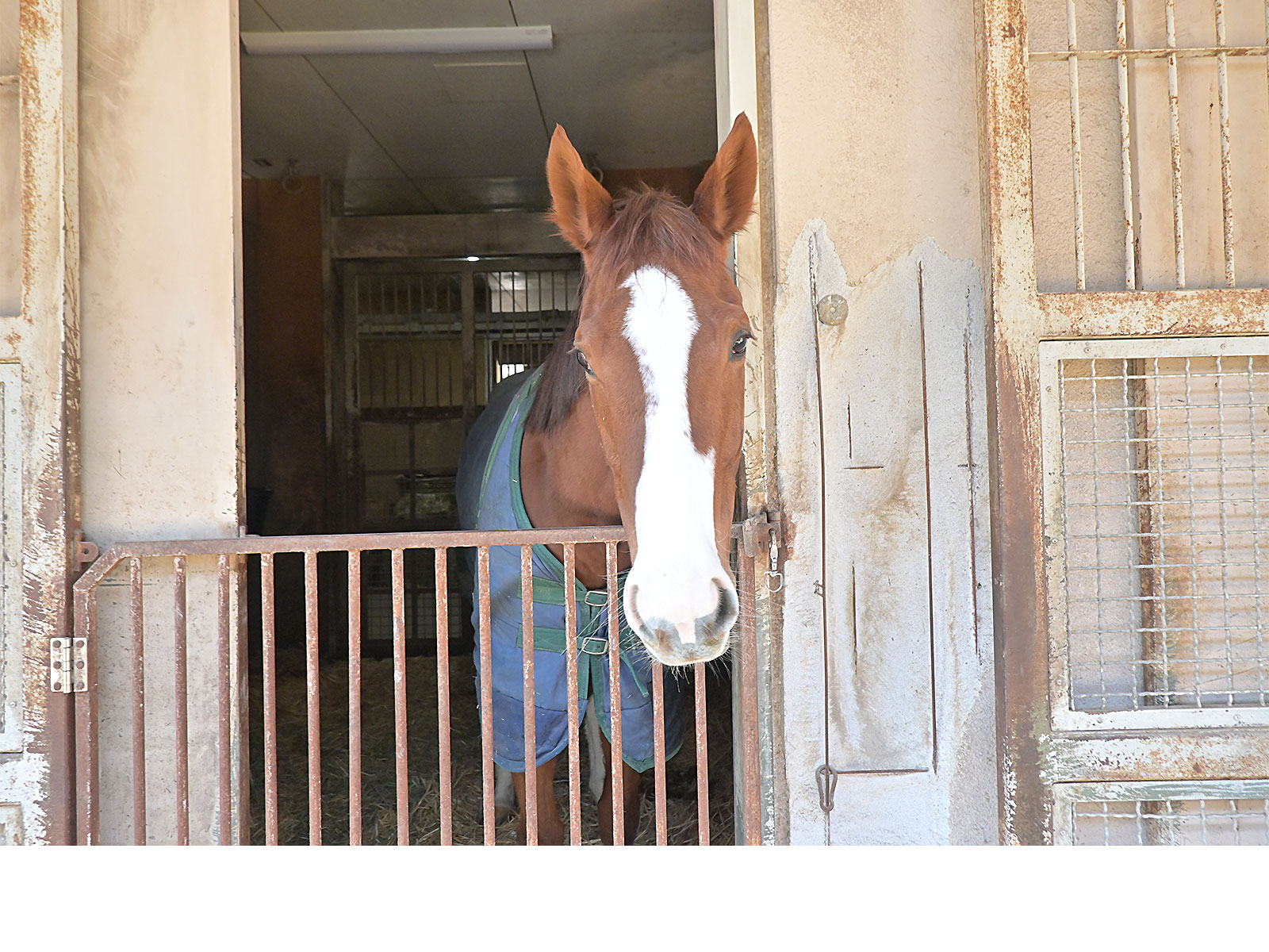 コイビトミサキのサブ画像